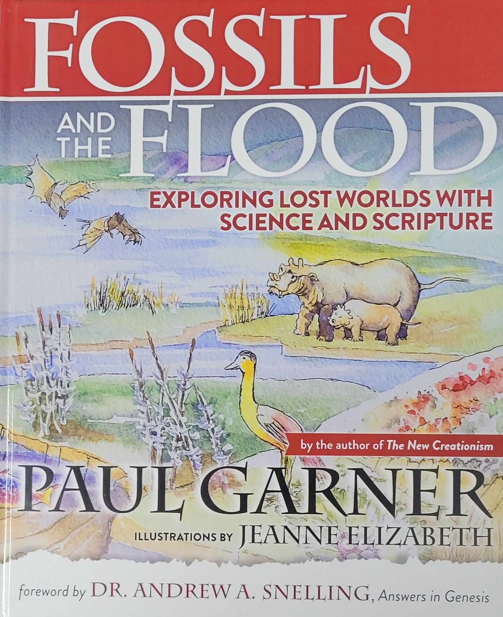 Fossils and the Flood