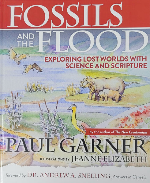 Fossils and the Flood